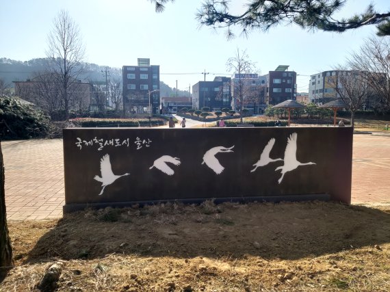 철새 생태관광 강조하며 뒤로는 '학(鶴)' 사육장 만들겠다는 울산시