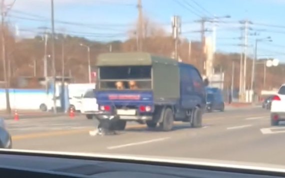 지난 15일 오후 광주광역시 북구 문흥동 인근 도로에서 강아지 2마리가 트럭에 매달려 끌려가는 모습. 출처: 네이버 카페 'BMW MANIA' 영상 캡쳐 *재판매 및 DB 금지