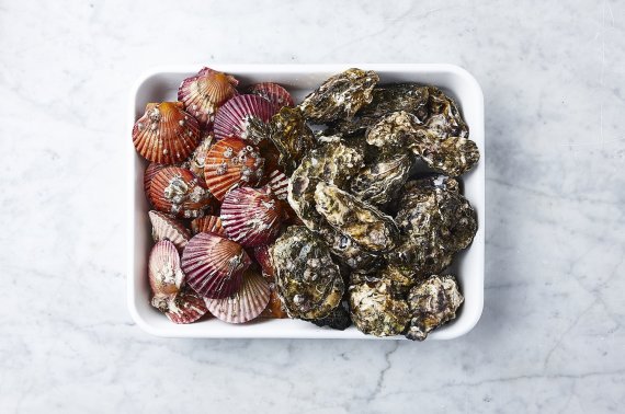 마켓컬리 '하루살이' 상품인 가리비