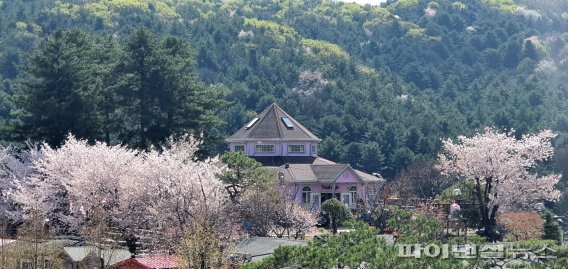 임옥 대표 “허브아일랜드, Herb의 Hub라 자부”