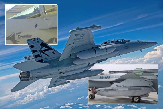 EA-18G 그라울러. 모의 공중전에서 F-22를 요격했고 요격한 EA-18G 그라울러 512호기에 F-22 가상 격추마크(좌상)가 그려졌다. 날개에 탑재된 AN/ALQ-99F(V) 재밍 포드(우하). 그라울러 전자전기는 전자전 능력을 갖춘 AN/APG-79 AESA 레이더를 사용하지만 전자전 체계 핵심은AN/ALQ-99F(V) 재밍 포드다. 이 재밍 포드는 EA-18G 그라울러의 주익 아래 좌우에 3개씩의 하드 포인트 중에서 아웃보드 스테이션을 제외한 4개의 하드 포인트와 동체 아래 센터 스테이션을 포함해 최대 5개의 AN/ALQ