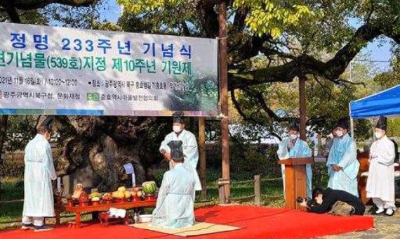 광주 북구 왕버들 기원제 /사진=문화재청