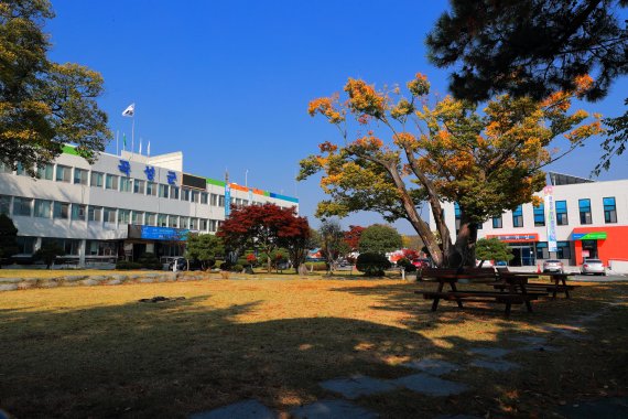 곡성군, 운전면허 자진반납 고령자에게 30만원 지급