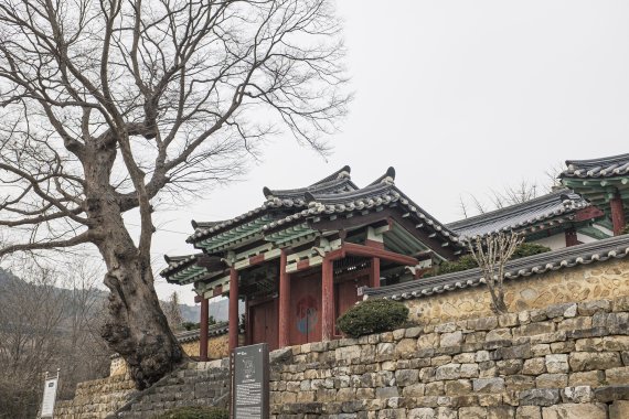 충남 예산 대흥향교와 느티나무 /사진=한국관광공사