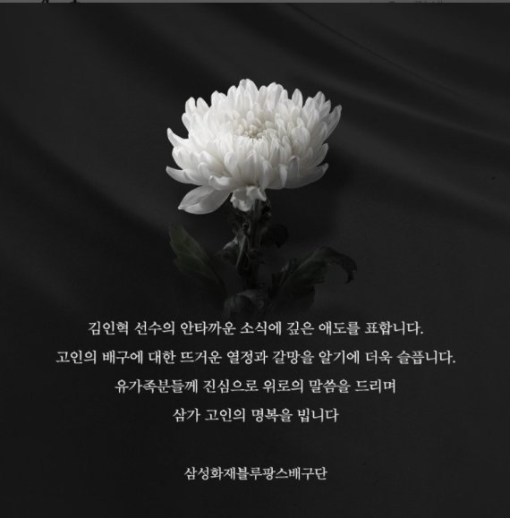 사진=삼성화재 블루팡스 인스타그램 캡처 *재판매 및 DB 금지 /사진=뉴시스