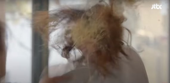 (사진=JTBC 드라마 <품위 있는 그녀> 캡처) © 뉴스1