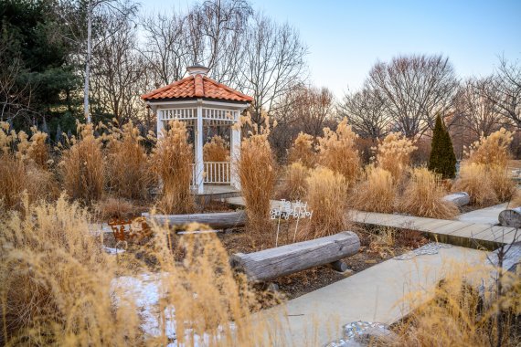 겨울에도 사진 찍기 좋은 서울숲 설렘정원