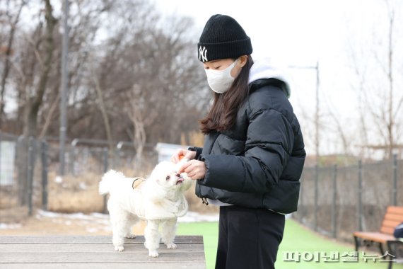 의왕시 반려견놀이터. 사진제공=의왕시