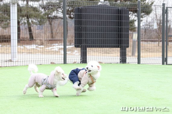 의왕시 반려견놀이터. 사진제공=의왕시