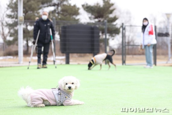 의왕시 반려견놀이터. 사진제공=의왕시