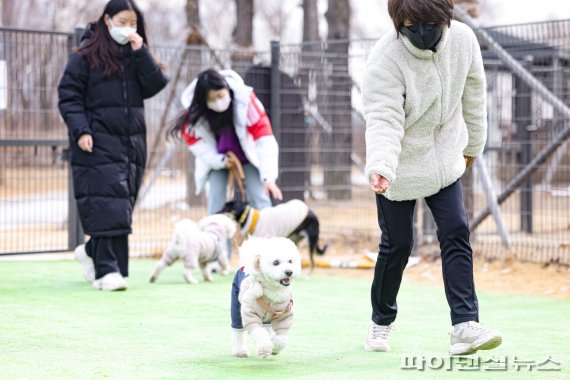 의왕시 반려견놀이터. 사진제공=의왕시