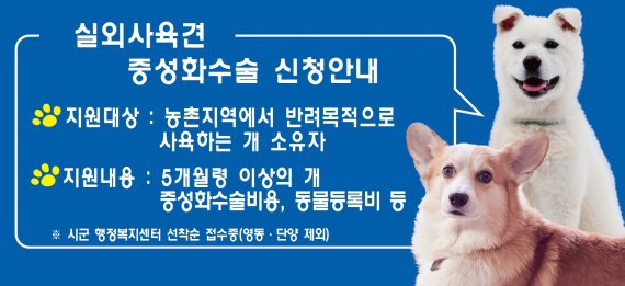 '두려운 실외사육견' 정부, 중성화수술·동물등록비 최대 40만원 지원