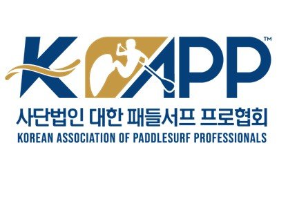 대한 패들서프 프로협회