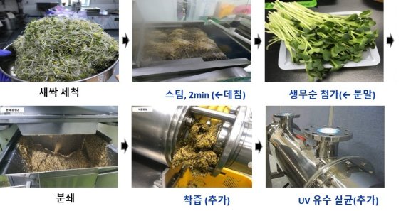 농진청, 브로콜리 새싹서 '설포라판' 5배 높이는 기술 개발