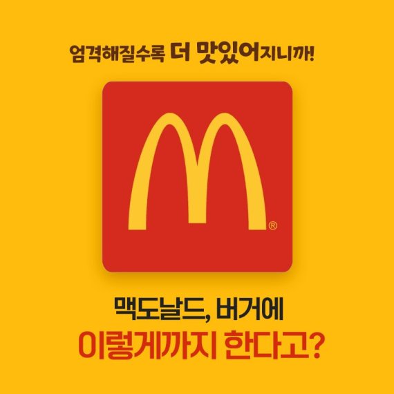 [카드뉴스] 맥도날드, 맛·품질 업그레이드 '더블빅맥'·'빅맥BLT' 출시