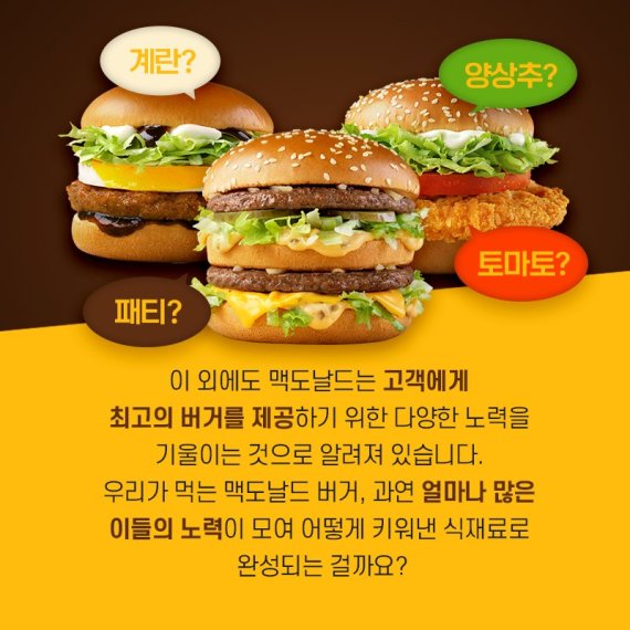 [카드뉴스] 맥도날드, 맛·품질 업그레이드 '더블빅맥'·'빅맥BLT' 출시