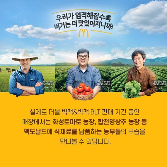 [카드뉴스] 맥도날드, 맛·품질 업그레이드 '더블빅맥'·'빅맥BLT' 출시