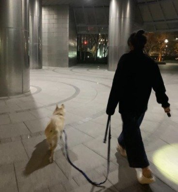윤석열 국민의힘 대선 후보는 20일 공식 트위터 계정에 부인 김건희씨가 반려견 토리와 함께 산책하는 사진을 올렸다.(윤석열 대선 후보 트위터 갈무리)© 뉴스1