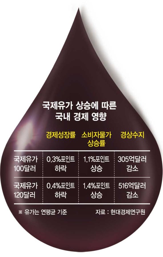 인플레 압력에 불붙인 러… 韓 무역적자·성장둔화 '경고등 [러시아 제재 후폭풍 국내경제 유탄]