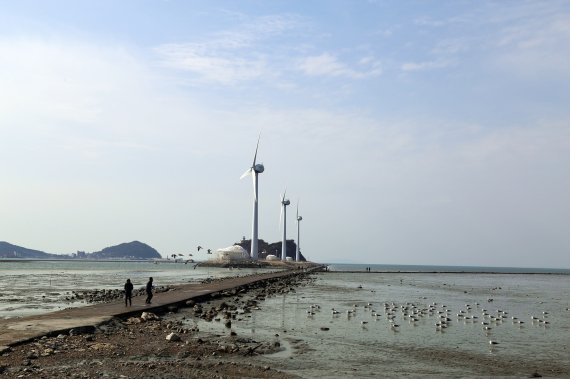 [조용철의 놀면 뭐먹니?] 푸짐하게 나눠 먹는 맛, 대부도 바지락칼국수