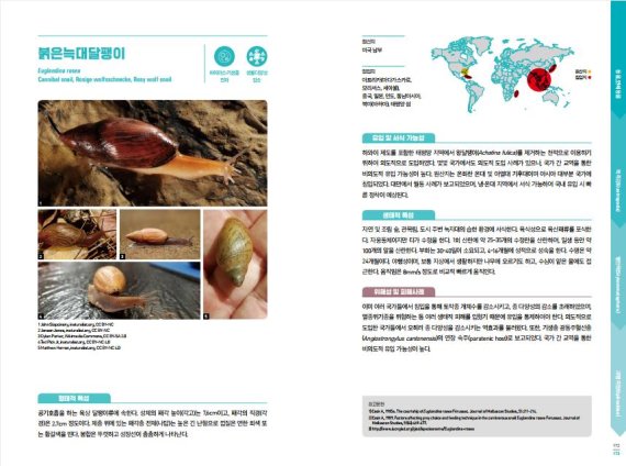 [서울=뉴시스] 환경부가 제작한 '2021년 지정 유입주의 생물 102종 Ⅲ' 중 붉은늑대달팽이 소개 부분. (사진=환경부 제공). 2022.03.03. photo@newsis.com *재판매 및 DB 금지