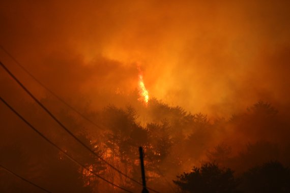 [강릉=뉴시스] 김경목 기자 = 5일 새벽 강원도 강릉시 옥계면 남영리 백봉령 일대 매봉산에서 큰불이 나 강한 바람을 타고 동서남북으로 번지고 있다. 2022.03.05. photo31@newsis.com