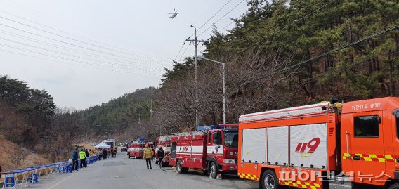 [르포]죽다 살아난 ‘좀비 산불’ 잡아라... 부산 아홉산 잔불 제거 총력