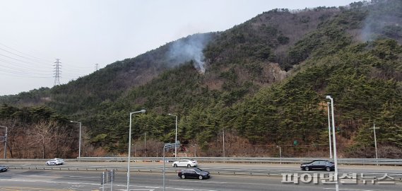 [르포]죽다 살아난 ‘좀비 산불’ 잡아라... 부산 아홉산 잔불 제거 총력