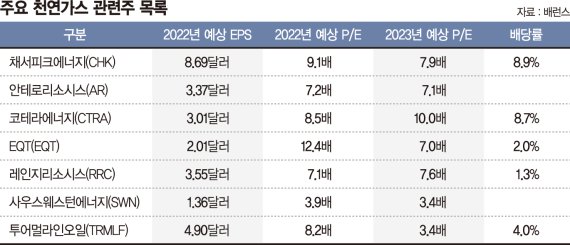 美 천연가스, 對러제재 수혜주로 떠올라 [해외주식 인싸이트] - 파이낸셜뉴스