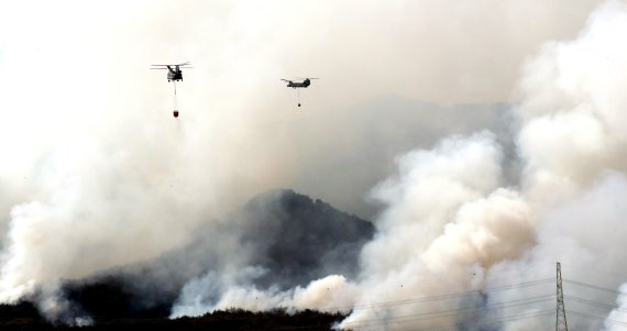 지난 7일 경북 울진에서 육군항공사령부 소속 CH-47 치누크 헬기가 산불 진화작전을 하고 있다. 사진=국방일보 제공