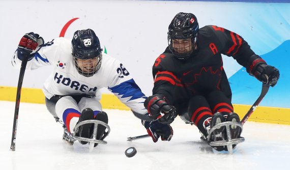 [패럴림픽]    Hóquei no gelo da Coreia perdeu por 6 a 0 para o Canadá na primeira mão do primeiro grupo