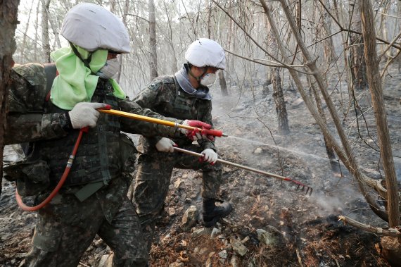동해안 일대 산불이 닷새째 이어진 8일 육군 제22사단 장병들이 강원 삼척시 원덕읍 일대 야산에서 잔불진화 작업을 하고 있다. 8군단은 지난 4일부터 이날까지 22사단과 23경비여단 등 연인원 3800여명을 투입해 진화작업을 도왔다. 이날은 작전 4일차로 900여명의 병력과 수리온 헬기 13대가 진화작전에 투입된다. 2022.3.8/뉴스1 © News1 민경석 기자