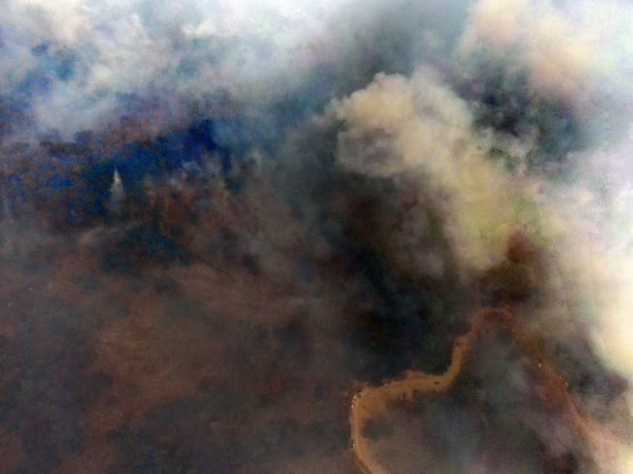 8일 경북 울진군 울진읍 소광리 일대에 펼쳐진 금강송 군락지에 불길이 번져 연기가 피어오르고 있다. 2022.3.8/뉴스1 © News1 민경석 기자