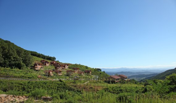 [서울=뉴시스]경북 영주 국립산림치유원 (사진 = 한국관광공사) 2022.3.11. photo@newsis.com *재판매 및 DB 금지