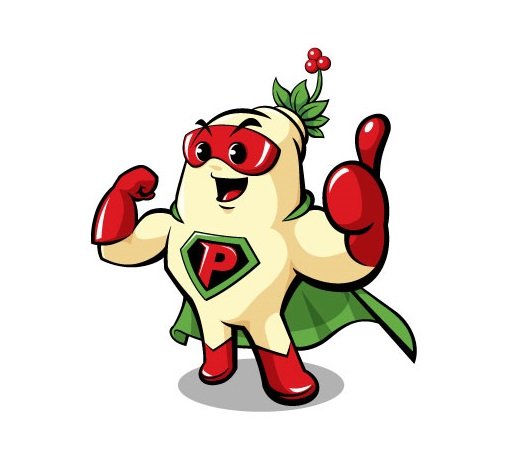 2022영주세계풍기인삼엑스포 마스코트 '풍삼이' (사진=영주시 제공) *재판매 및 DB 금지