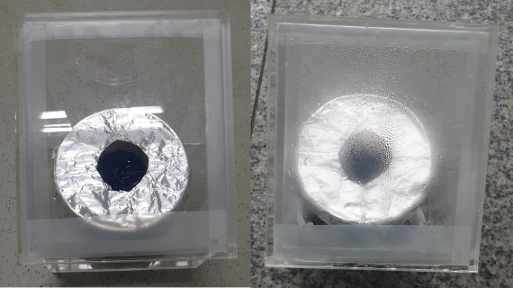 한천과 나무 섬유소로 만든 태양광 해수담수화 소재가 햇빛을 받아 열을 내면서 물을 증발시키고 있다. 김성균 교수 제공