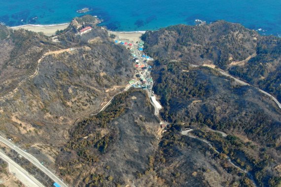 경북 울진·강원 삼척 산불 엿새째인 9일 강원도 삼척시 원덕읍 월천리 고포해변 주변 일대 산림이 불에 타 까맣게 그을려 있다. 산림청과 소방당국, 지자체에 따르면 이날 울진˙삼척 산불의 전체 진화율은 70%까지 높아진 상황이다. 2022.3.9/뉴스1 © News1 민경석 기자