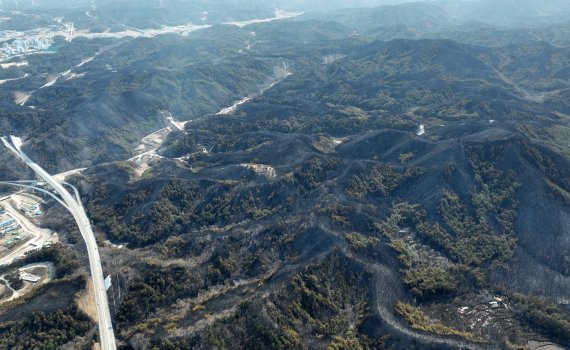 경북 울진군 산불 사흘째인 6일 오후 화마가 지나간 경북 울진군 북면 일대가 시커먼 잿더미로 변해 있다. 2022.3.6/뉴스1 © News1 공정식 기자