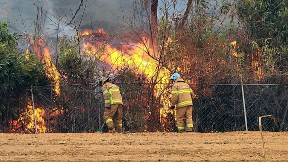 경북 울진과 동해안 일대에 대규모 산불 발생 사흘째인 6일 강원 동해시 산불현장에서 전국 소방동원령으로 동원된 경기도 부천소방서 대원이 산불진화를 하고 있다. (소방청 제공) 2022.3.6/뉴스1