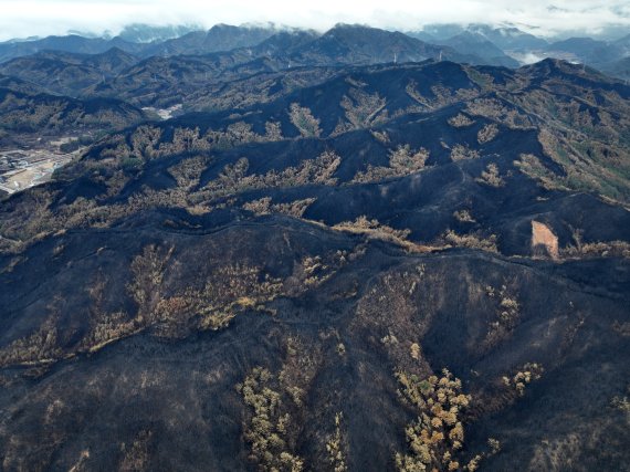 13일 경북 울진군 북면에서 본 산들이 잿더미로 변해있다. 이번 산불 울진군은 1만8463ha가 불에 탔다. 산림당국은 13일 오전 9시를 기해 주불을 잡았다고 발표했다 2022.3.13/뉴스1 © News1 최창호 기자