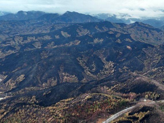 13일 경북 울진군 북면에서 본 산들이 잿더미로 변해있다. 이번 산불 울진군은 1만8463ha가 불에 탔다. 산림당국은 13일 오전 9시를 기해 주불을 잡았다고 발표했다 2022.3.13/뉴스1 © News1 최창호 기자