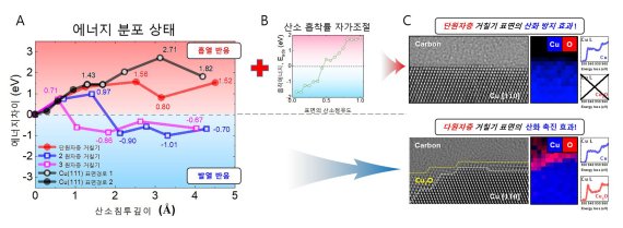 표면 원자계단의 개수에 따라 산소가 구리속으로 침투하는데 필요한 에너지가 달라진다. 그림 A는 표면 원자계단이 한 층인 경우 산소침투는 흡열 반응이고 두층 이상인 경우 발열 반응을 함을 계산을 통해서 보여준다. 그림 B는 산소가 평탄한 구리 표면을 50% 이상 점유하면 스스로 산소를 밀어내는 자기-조절 기능을 가짐을 보이고, 그림 C 에서는 실제로 초평탄 면에는 산화면이 존재하지 않고 원자계단이 두 층 이상인 경우 산화층이 존재함을 실험적으로 보여준다. (정세영 부산대학교 교수 제공) 2022.03.16 /뉴스1