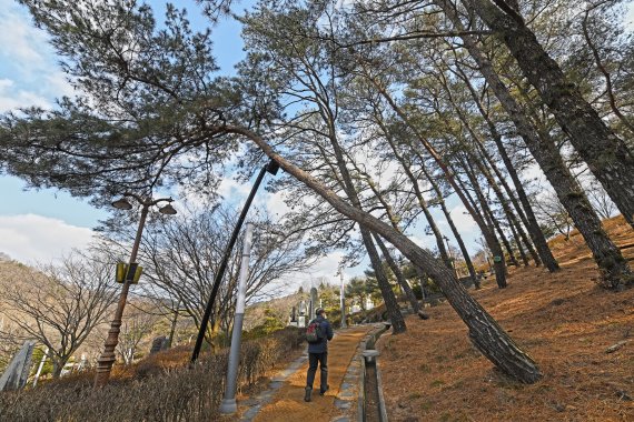 족보 전시된 공원, 동굴에 만든 수족관… 평범한듯 특별한 대전 [Weekend 레저]