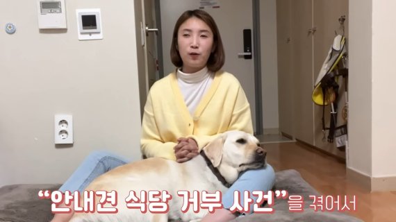 "개가 커서 안돼요"...'시각장애인의 눈' 안내견 막은 프랜차이즈 식당
