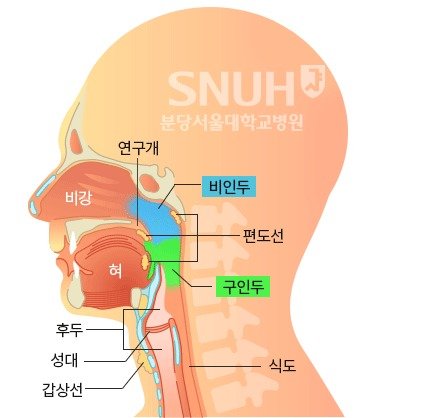 (분당서울대학교병원 제공) © 뉴스1