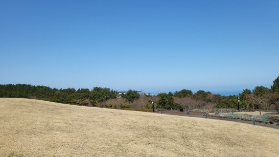 카카오 오름에 올라서면 보이는 제주 바다의 모습. 날씨가 좋은 날은 '추자도'까지 보인다. © 뉴스1 송화연 기자
