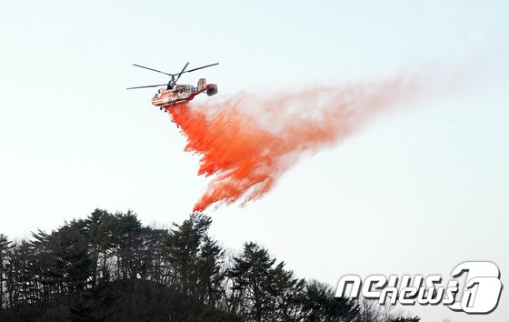 산림청 산불진화헬기가 울진군 금강송면 소광리 능선부를 따라 산불지연제(리타던트)를 뿌리고 있다. (산림청 제공) © 뉴스1