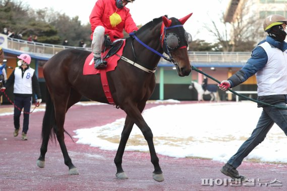 경주마 퀸즈투어. 사진제공=한국마사회