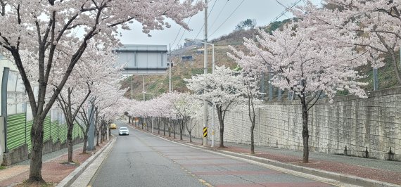 김해 진영 산복도로