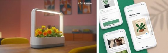 [서울=뉴시스] LG 틔운 미니(왼쪽)과 플리어리 식물 성장 앱. (사진=뉴시스 DB). photo@newsis.com